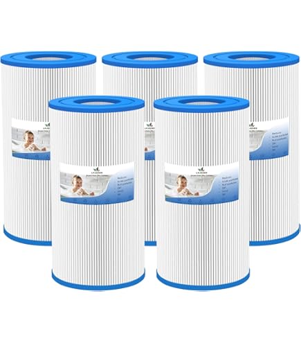 TAKE Amazon.com : Real Fancy 0969601 Hot Springs Spa Filter